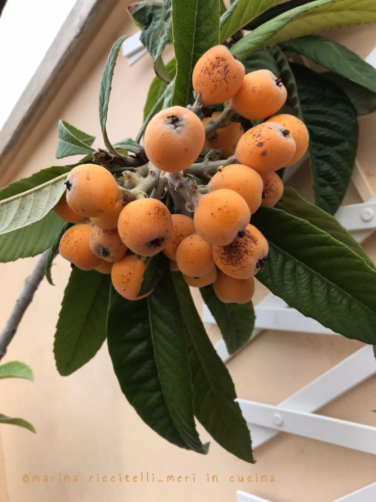 crostatine integrali alla confettura di nespole